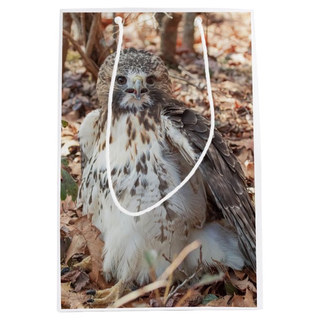 Sacola Para Presentes Média O vermelho atou o falcão dobrado (Frente)