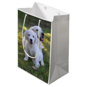 Sacola Para Presentes Média Ouro Retriever Mãe e Puppy