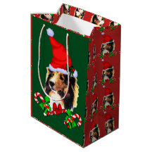 Papais noeis de raça pura Shetland Sheepdog Natal