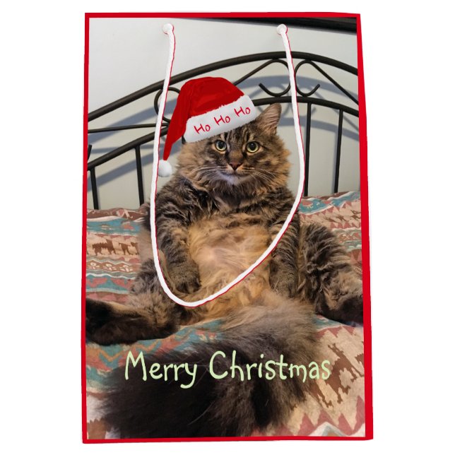 Sacola Para Presentes Média Papais noeis Gato Ho Ho Ho Ho Média Gift Bag (Frente)