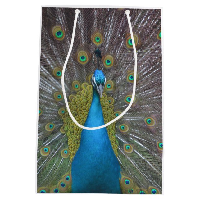 Sacola Para Presentes Média Pavão impressionante (Verso)