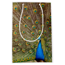 Sacola Para Presentes Média Penas da Cauda Peacock