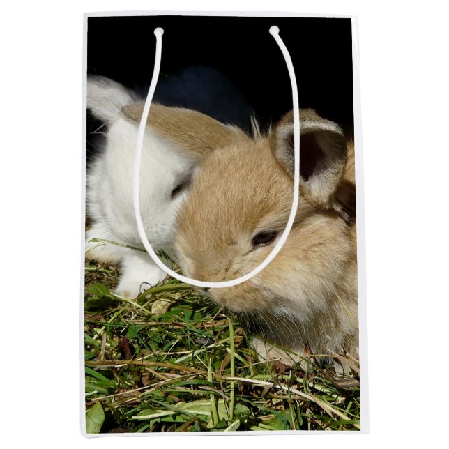 Sacola Para Presentes Média Pequenos coelhos fofos bonitos (Frente)