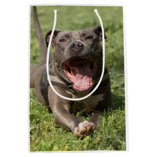 Sacola Para Presentes Média Pitbull na grama Foto editável