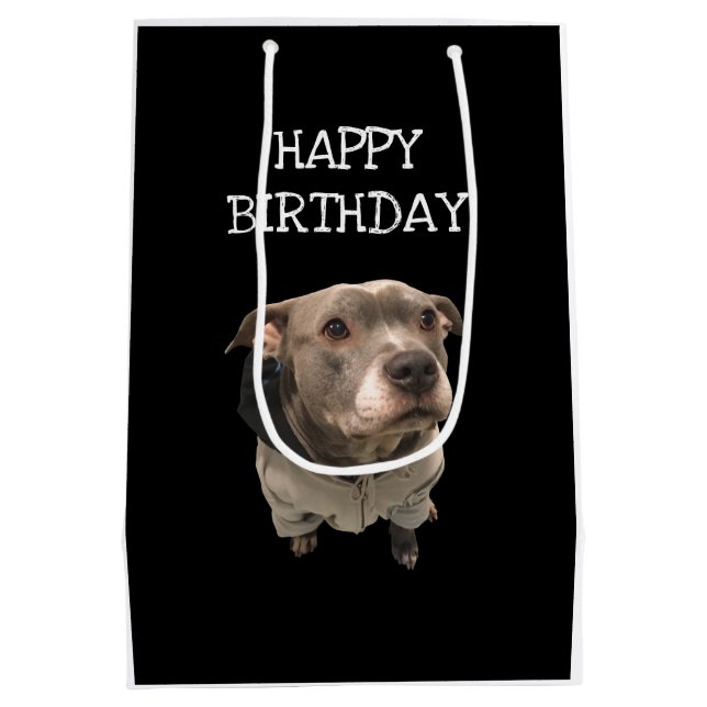 Sacola Para Presentes Média Pitbull Vestindo Hoodie Gift Bag (Verso)