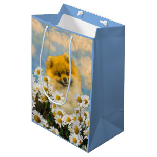 Sacola Para Presentes Média Pomeranian nas margaridas que pintam - arte
