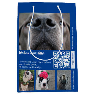 Sacola Para Presentes Média Promova seus pinos