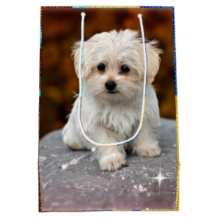 Sacola Para Presentes Média Puppy maltês
