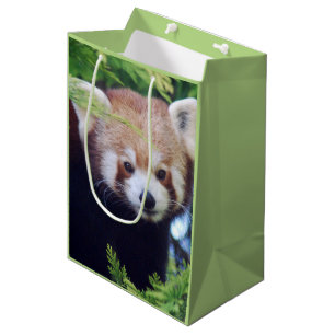 Sacola Para Presentes Média Red Panda Pattern