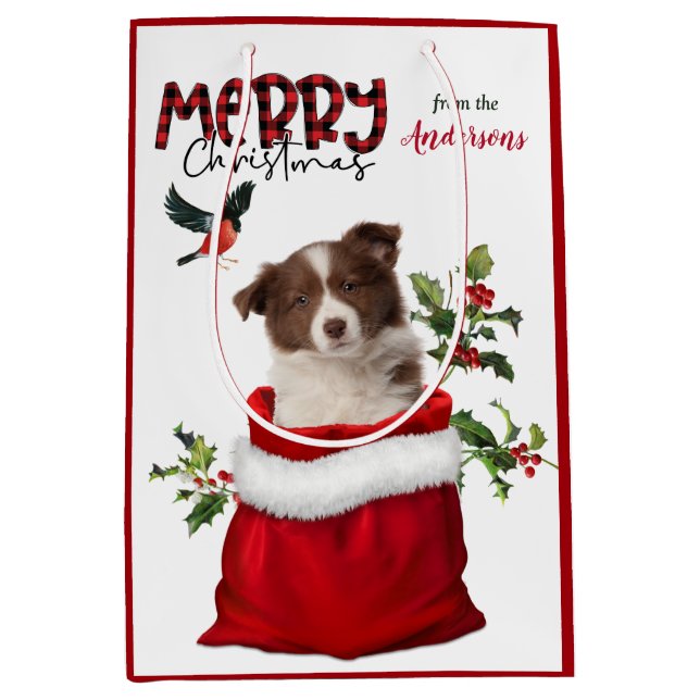 Sacola Para Presentes Média Red White Border Collie Puppy (Frente)