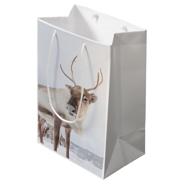 Sacola Para Presentes Média Reindeer Nature Photo (Frente inclinada)