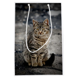 Sacola Para Presentes Média Retrato de um gato