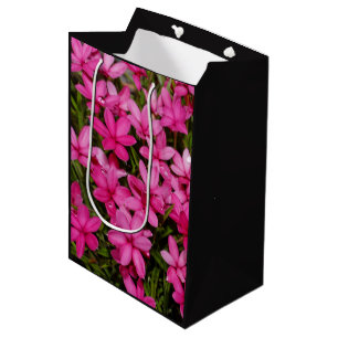 Sacola Para Presentes Média Rhodohipóxis / Estrela Vermelha / Posy Rosy
