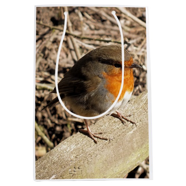 SACOLA PARA PRESENTES MÉDIA ROBINA (Frente)