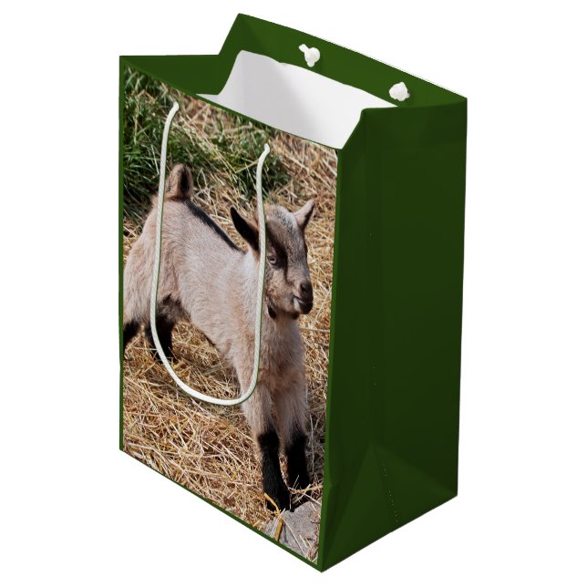Sacola Para Presentes Média Saco de Presente de Criança Fofa (Frente inclinada)