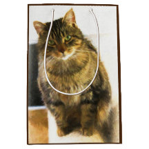 Saco de presente para gatos bonitos