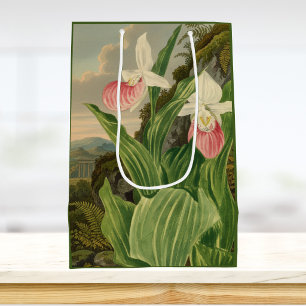 Sacola Para Presentes Média Sapatinho Rosa Dama Orquídea Botânica Vintage