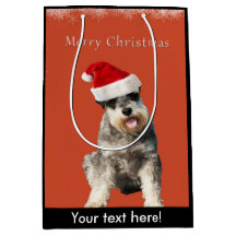 Schnauzer com chapéu do Natal