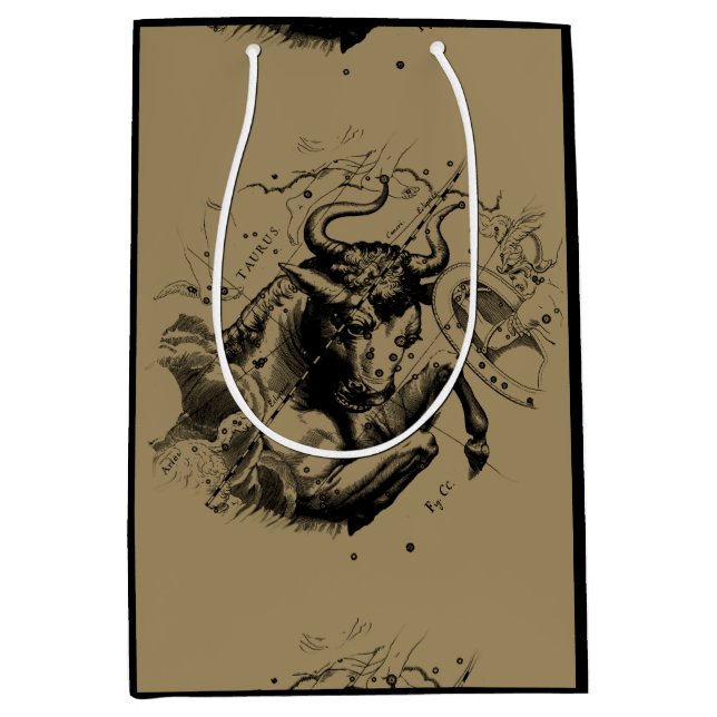 Sacola Para Presentes Média Touro Constelação Hevelius 1690 Engrenando (Frente)