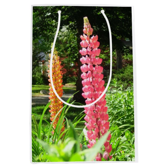 Sacola Para Presentes Média Tremoços num Jardim de Algodão - Vinha de Martha (Frente)