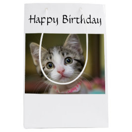 Sacola Para Presentes Média Um gatinho bonito com olhos verdes