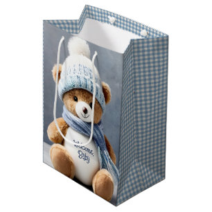 Sacola Para Presentes Média Urso De Teddy Com Scarf E Chapéu