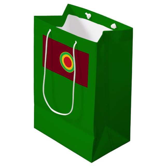 Sacola Para Presentes Média Verde de Natal (Frente inclinada)