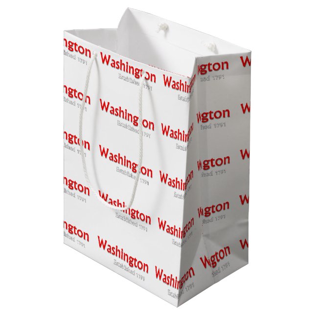 Sacola Para Presentes Média Washington Estabelecido Gift Bag Medium, Matte (Frente inclinada)