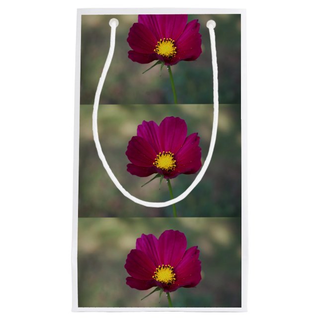 Sacola Para Presentes Pequena A flor perfeita da irmã (Frente)