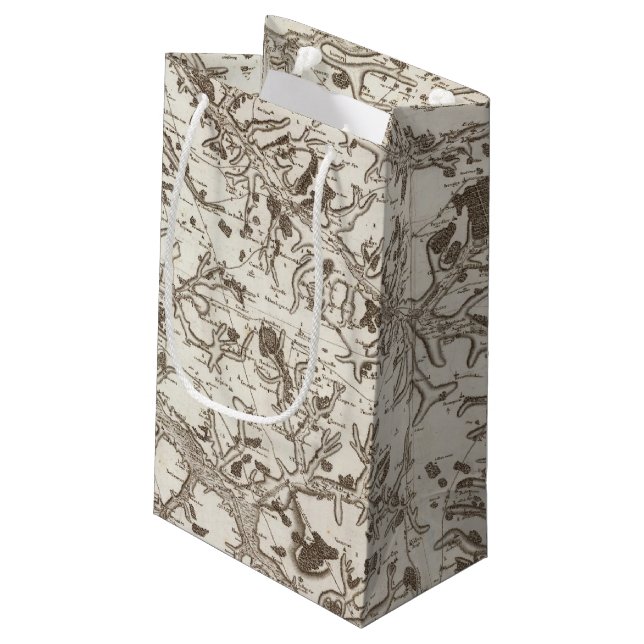 Sacola Para Presentes Pequena Abbeville (Verso inclinado)