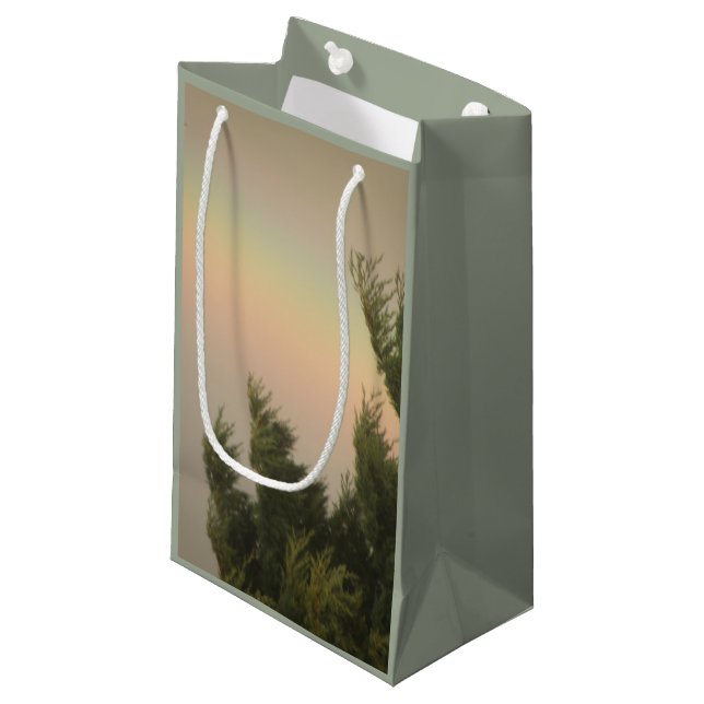 Sacola Para Presentes Pequena Arco-Íris e Árvores - Aranha-Aranha (Frente inclinada)
