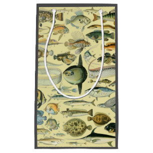 Sacola Para Presentes Pequena Arte De Pesca Científica Dos Peixes Vintage