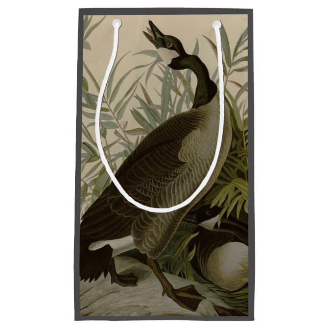 Sacola Para Presentes Pequena Audubon Canada Goose Willife Bird (Frente)