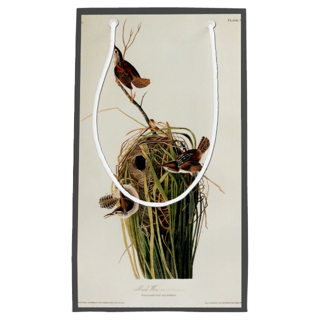 Sacola Para Presentes Pequena Audubon Marsh Wren Bird Art (Frente)