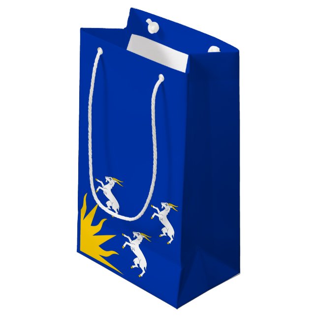 Sacola Para Presentes Pequena Bandeira de Merionethshire Small Gift Bag (Frente inclinada)