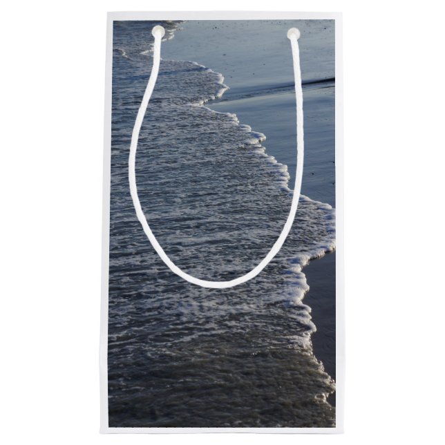 Sacola Para Presentes Pequena Beleza da costa (Frente)