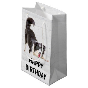 Sacola Para Presentes Pequena Birday Border Collie com óculos de sol