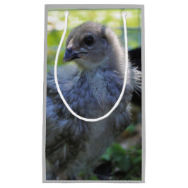 Sacola Para Presentes Pequena Bluebell