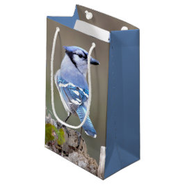 Sacola Para Presentes Pequena Caçador de Jay Azul-Cinto no Treestump