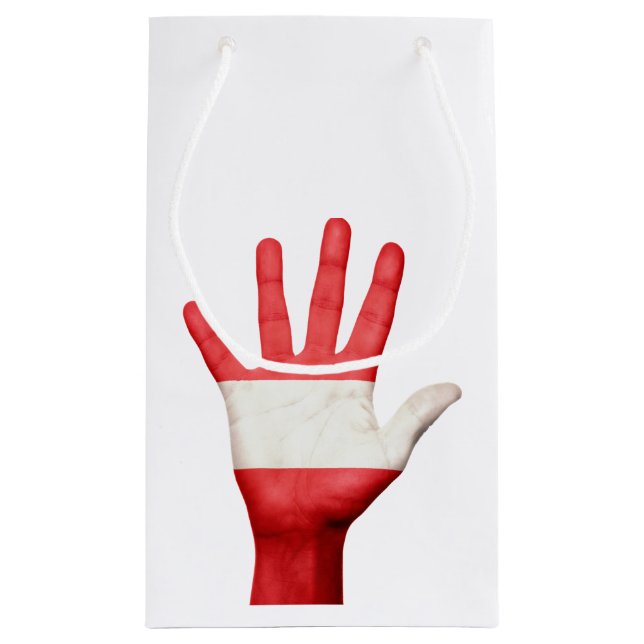 Sacola Para Presentes Pequena Caixa de Presente de Design de Mão de Bandeira da  (Verso)
