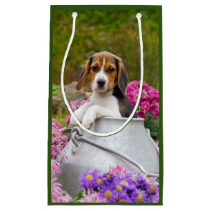 Sacola Para Presentes Pequena Cão de Beagle Cachorro Cachorro na Chuva de Leite