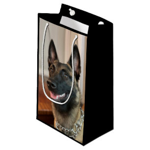 Sacola Para Presentes Pequena Cão Malinois belga