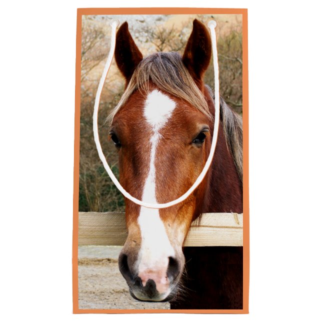 SACOLA PARA PRESENTES PEQUENA CAVALOS (Frente)