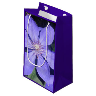 Sacola Para Presentes Pequena Césarine