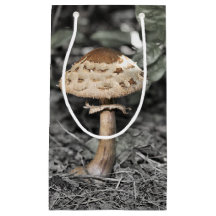 Cogumelo selvagem (Toadstool)
