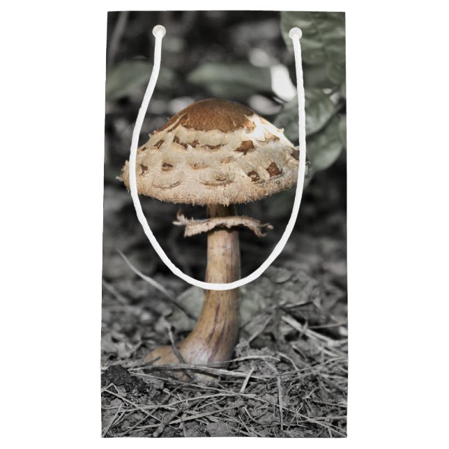 Sacola Para Presentes Pequena Cogumelo selvagem (Toadstool) (Frente)