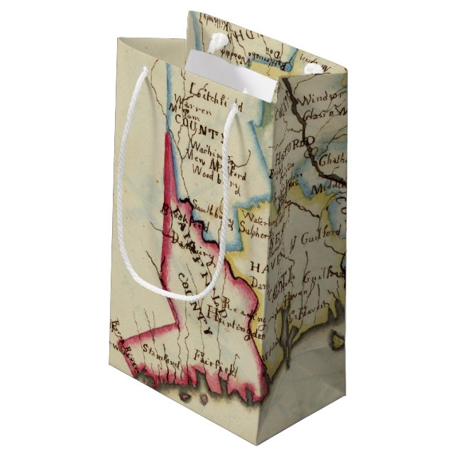 Sacola Para Presentes Pequena Connecticut 11 (Verso inclinado)