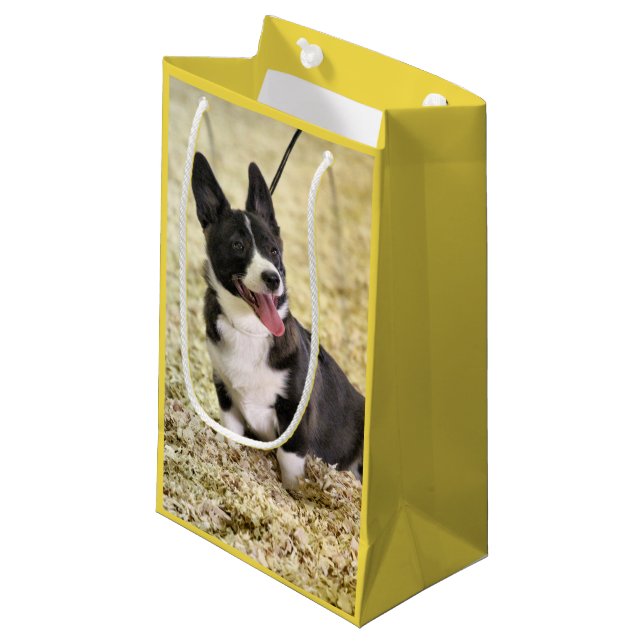 Sacola Para Presentes Pequena Corgi (Frente inclinada)