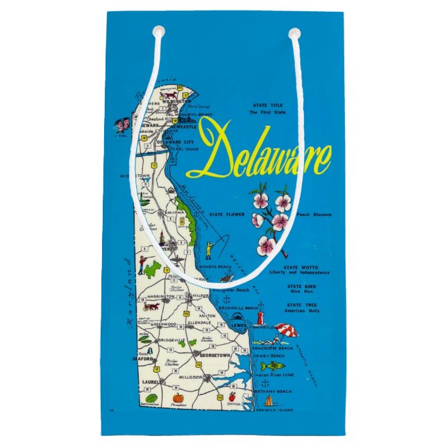Sacola Para Presentes Pequena Delaware Map Small Gift Bag (Frente)