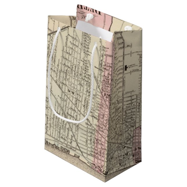 Sacola Para Presentes Pequena Detroit (Verso inclinado)